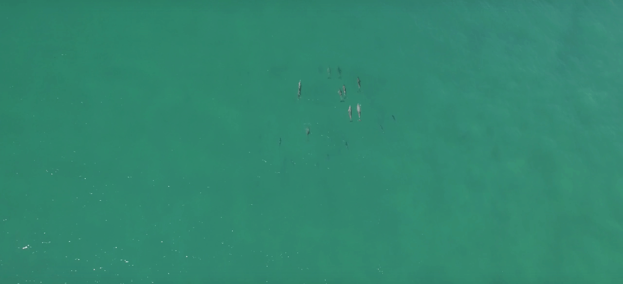 best drones for fishing best drones for fishing