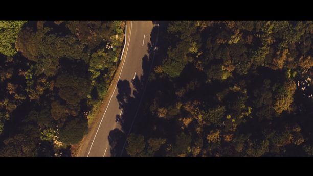 birds-eye-shot