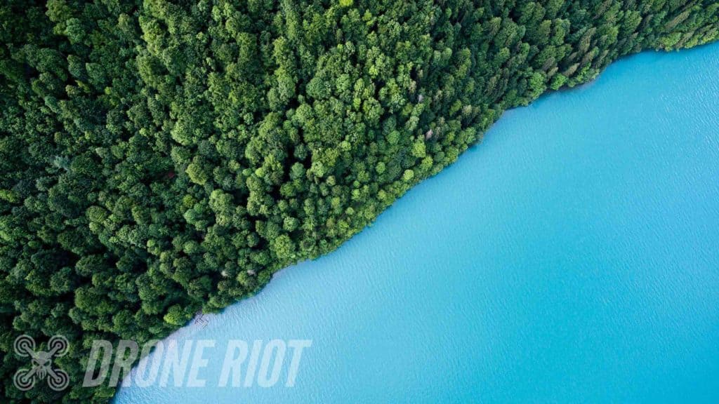 Picture shot on a drone Forest and water